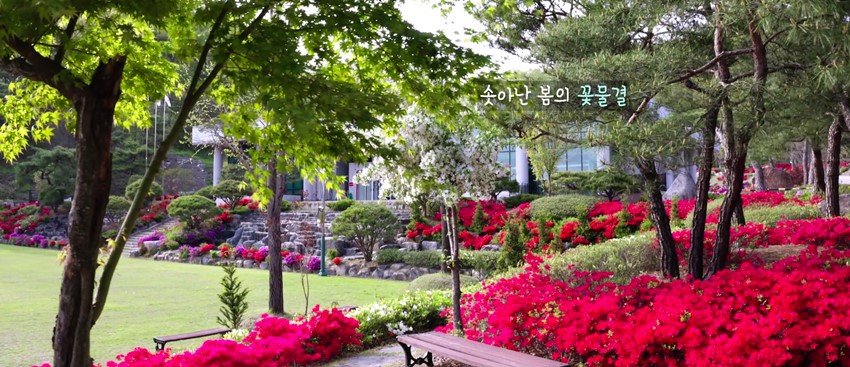 2.꽃, 세상이 열린다